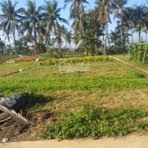 can-ban-dat-367m-hoai-nhon