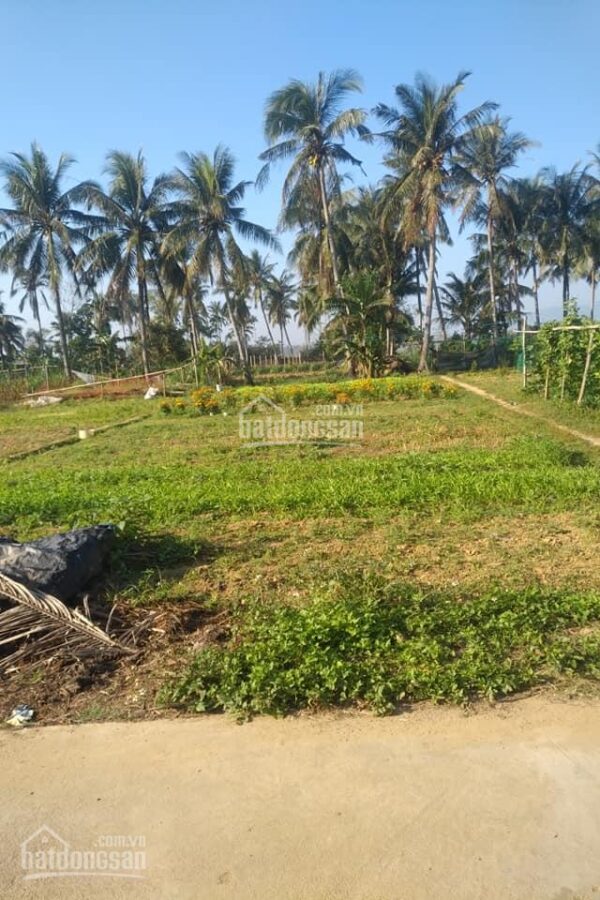 can-ban-dat-367m-hoai-nhon