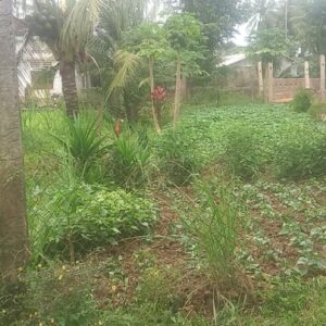 Bán lô đất Vĩnh Phụng 2, Phường Hoài Xuân, Thị Xã Hoài Nhơn, Bình Định