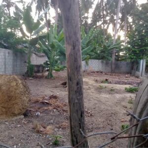 Lô đất khu phố Tân Thành 1, Phường Tam Quan Bắc, Thị Xã Hoài Nhơn, Bình Định