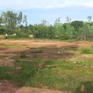 Lô đất khu phố Mỹ An 1, Phường Hoài Thanh, Thị Xã Hoài Nhơn, Bình Định