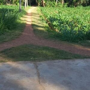 Lô đất An Dưỡng 1