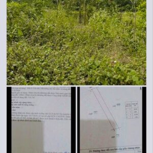 Lô đất khu phố Mỹ An 1