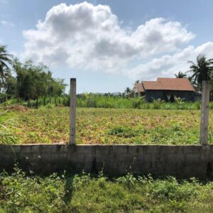 Lô đất Phường Hoài Thanh Tây, Thị Xã Hoài Nhơn, Bình Định