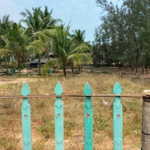 Mua bán nhà đất Phường Tam Quan
