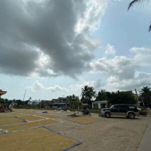 Lô đất chợ Cát Hoài Hảo